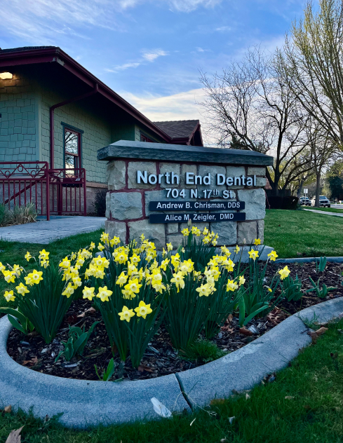 North End Dental | Dental patient smiling as a dentist gently checks her teeth during an exam